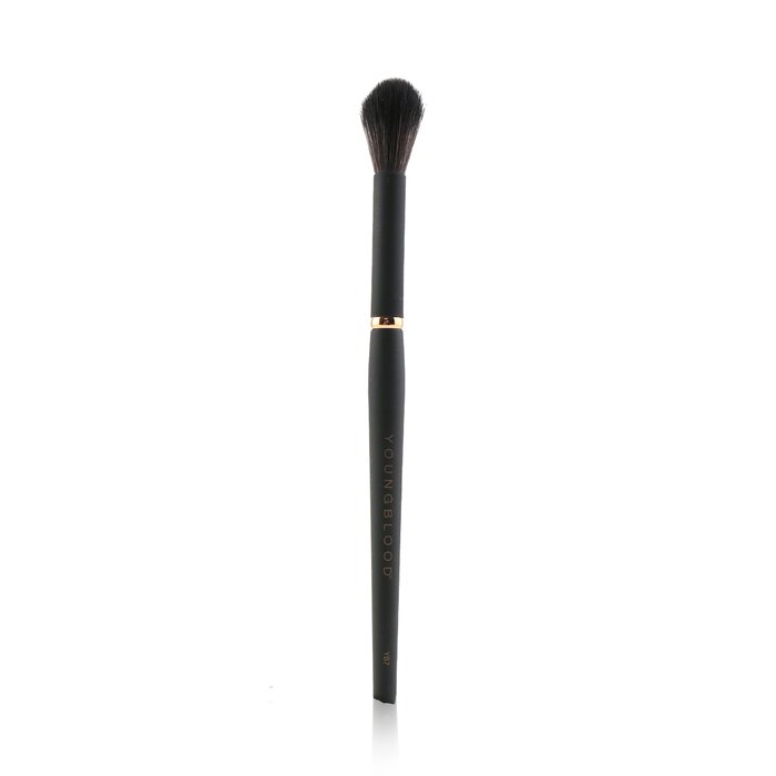 Youngblood highlight brush