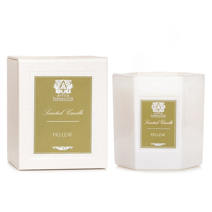 Antica Farmacista fig leaf candle 255g/9oz