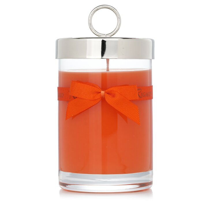 Rigaud scented candle - Vesuve 230g / 8.11 oz